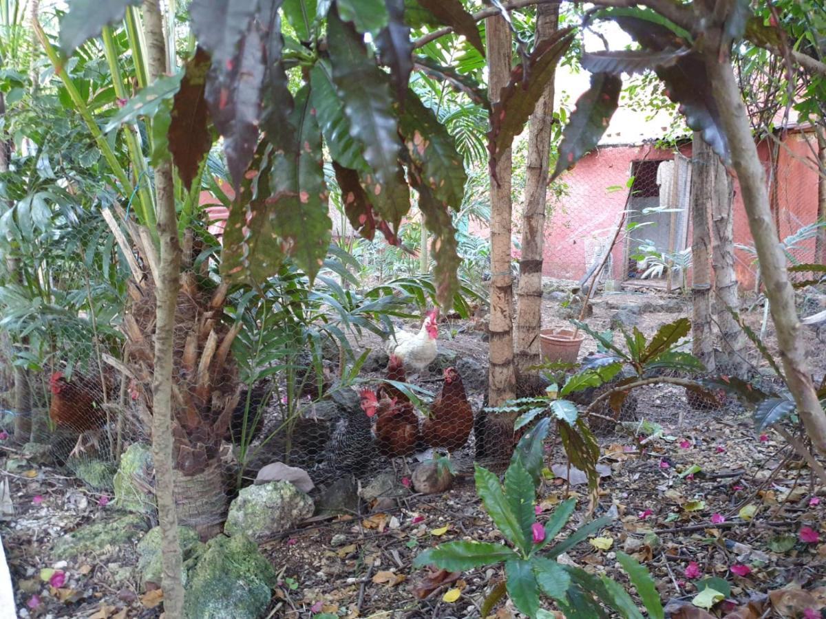 Casa Don Diego Tulum Exterior foto