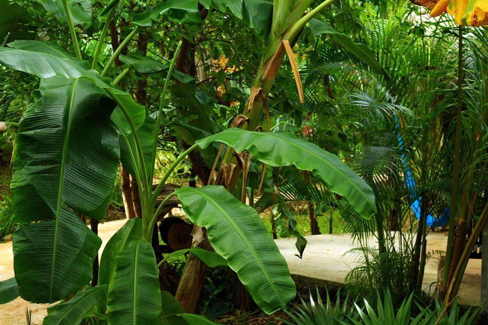 Casa Don Diego Tulum Exterior foto